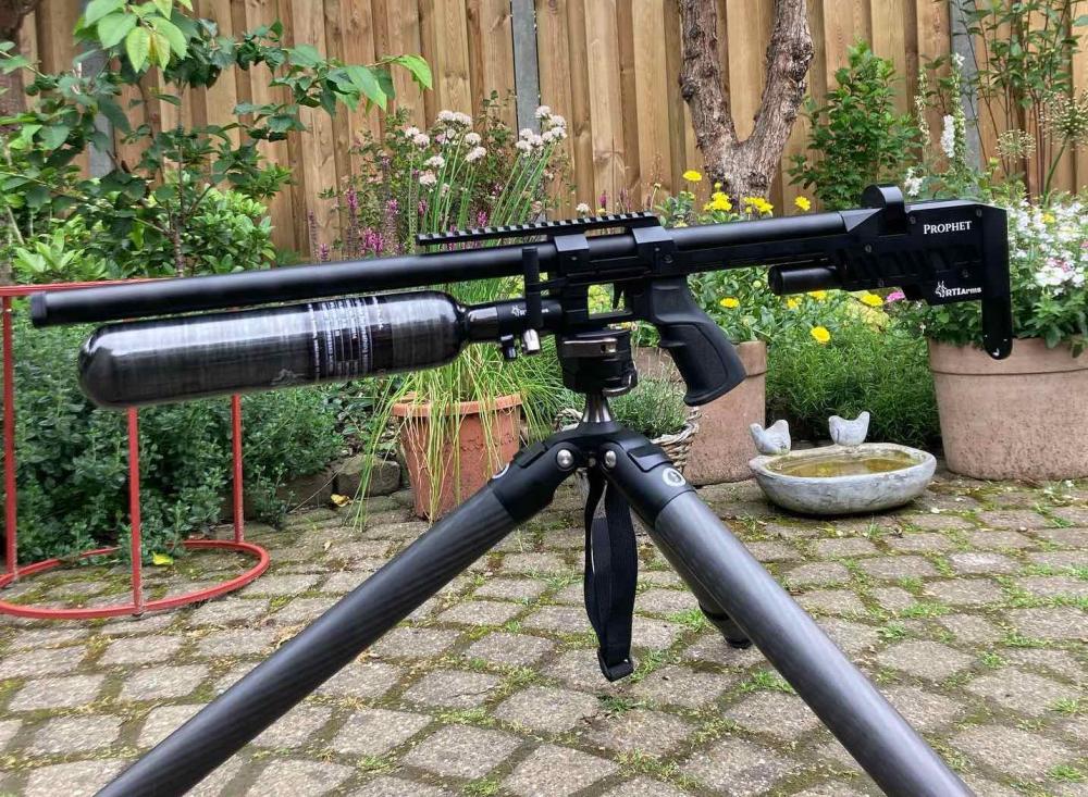 RTI Arms Prophet Performance - détail du rail et de la crosse